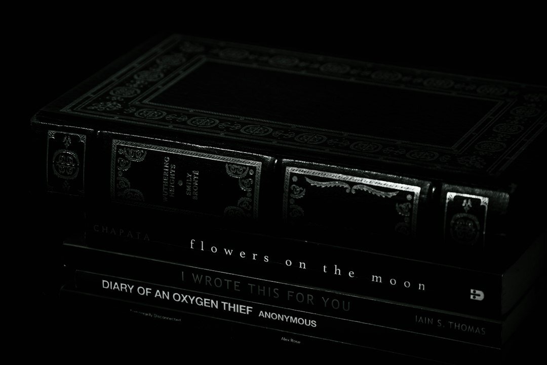 mysterious book cover
